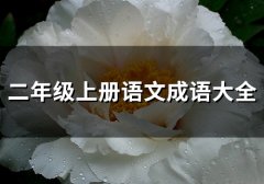二年级上册语文成语大全(精选86句)