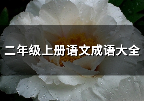 二年级上册语文成语大全(精选86句)
