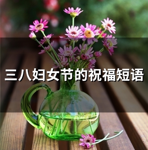 三八妇女节的祝福短语(39句)