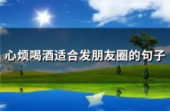 心烦喝酒适合发朋友圈的句子(精选50句)
