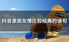 抖音里面友情比较经典的语句(65句)