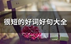 很短的好词好句大全(精选72句)
