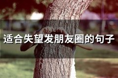适合失望发朋友圈的句子(精选66句)