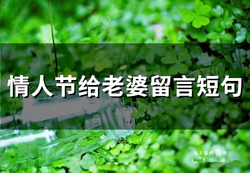 情人节给老婆留言短句(精选66句)