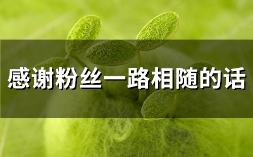 感谢粉丝一路相随的话(精选26句) 感谢粉丝一路相随的话(精选26句)