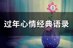 过年心情经典语录(精选65句)