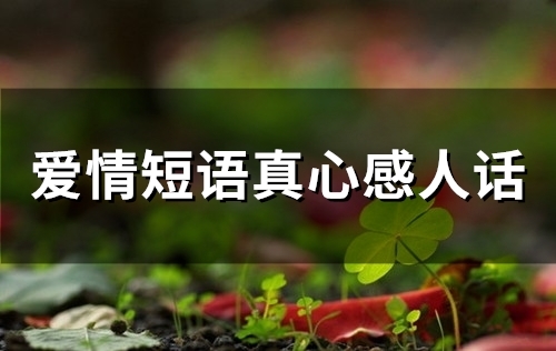 爱情短语真心感人话(精选65句)