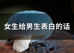 女生给男生表白的话(72句)