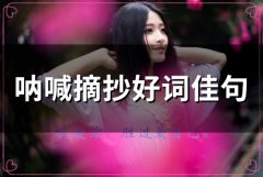 呐喊摘抄好词佳句(35句)