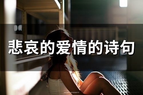 悲哀的爱情的诗句(精选65句)