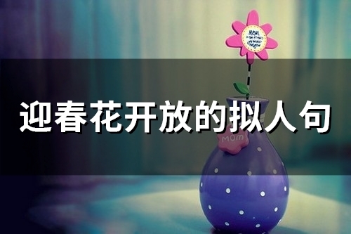 迎春花开放的拟人句(25句)