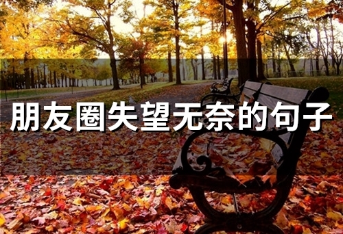 朋友圈失望无奈的句子(66句) 朋友圈失望无奈的句子(66句)