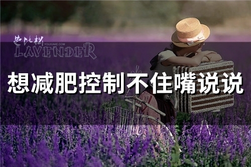 想减肥控制不住嘴说说(34句)
