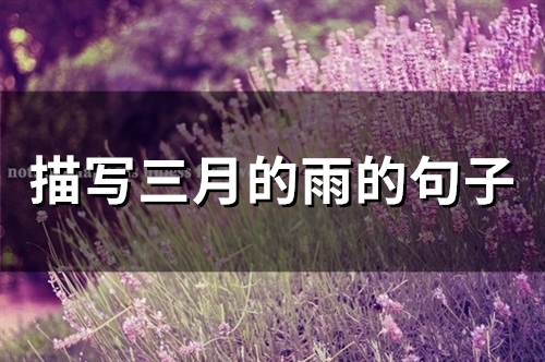 描写三月的雨的句子(精选21句) 描写三月的雨的句子(精选21句)