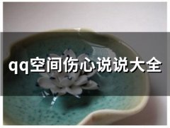 qq空间伤心说说大全(73句)