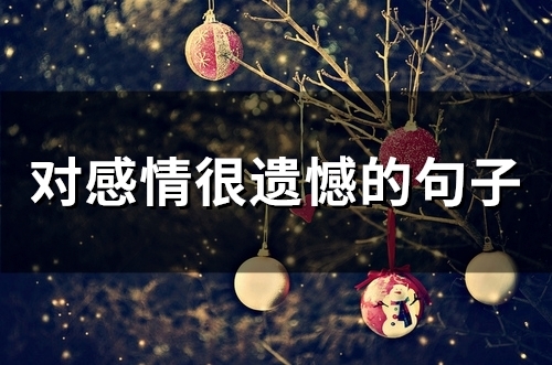 对感情很遗憾的句子(72句)