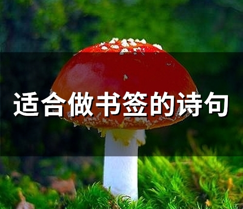 适合做书签的诗句(72句)