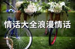 情话大全浪漫情话(65句)