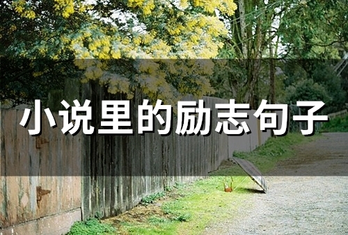小说里的励志句子(精选68句)