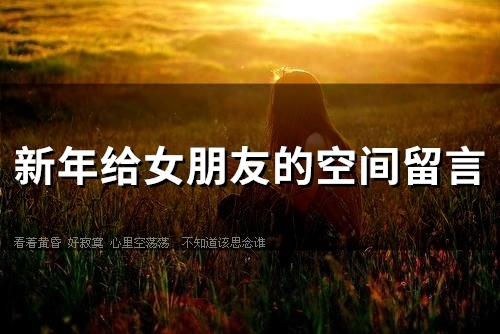 新年给女朋友的空间留言(67句)