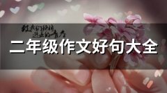 二年级作文好句大全(90句)