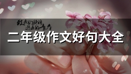 二年级作文好句大全(90句)