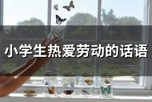 小学生热爱劳动的话语(精选42句)