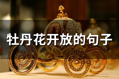 牡丹花开放的句子(36句)