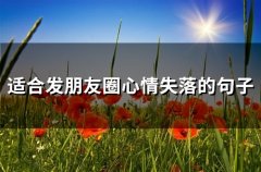 适合发朋友圈心情失落的句子(65句)