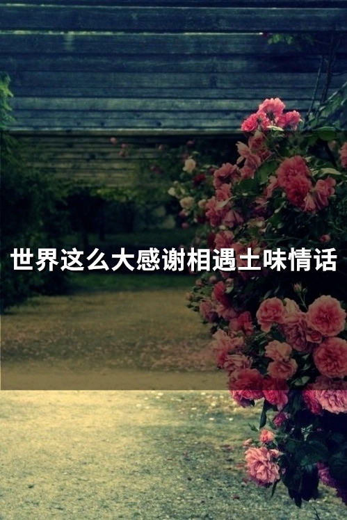 世界这么大感谢相遇土味情话(精选26句)