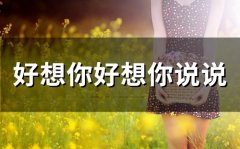 好想你好想你说说(精选45句)