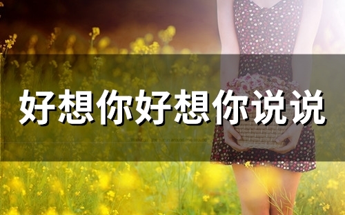 好想你好想你说说(精选45句)