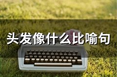 头发像什么比喻句(35句)