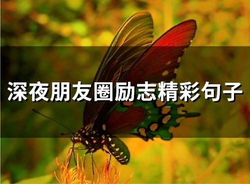 深夜朋友圈励志精彩句子(84句)