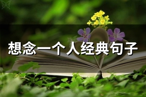 想念一个人经典句子(精选79句) 想念一个人经典句子(精选79句)