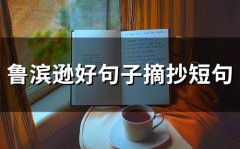 鲁滨逊好句子摘抄短句(37句)