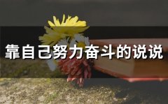 靠自己努力奋斗的说说(56句)