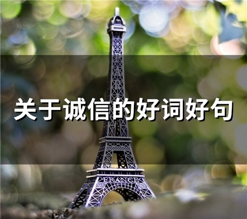 关于诚信的好词好句(41句)