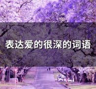 表达爱的很深的词语(70句)