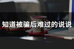 知道被骗后难过的说说(50句)