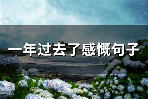 一年过去了感慨句子(62句)