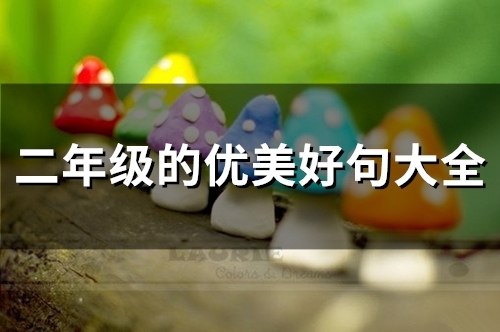 二年级的优美好句大全(精选93句)