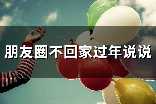朋友圈不回家过年说说(精选35句)