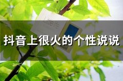 抖音上很火的个性说说(66句)