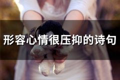 形容心情很压抑的诗句(精选65句)