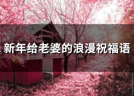 新年给老婆的浪漫祝福语(72句) 新年给老婆的浪漫祝福语(72句)