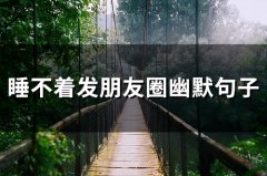 睡不着发朋友圈幽默句子(精选36句)