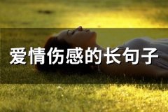 爱情伤感的长句子(66句)