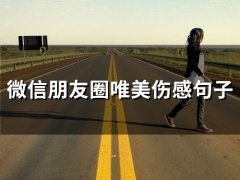 微信朋友圈唯美伤感句子(精选65句)