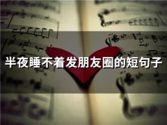 半夜睡不着发朋友圈的短句子(65句)